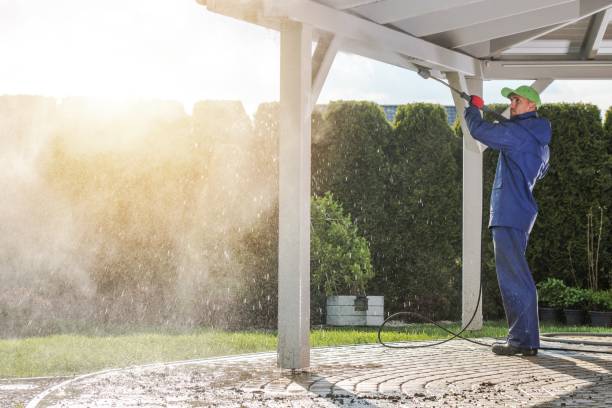 Best Spring Cleaning  in Rosenhayn, NJ