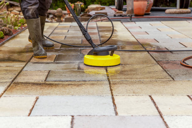 Best Winterizing Services  in Rosenhayn, NJ