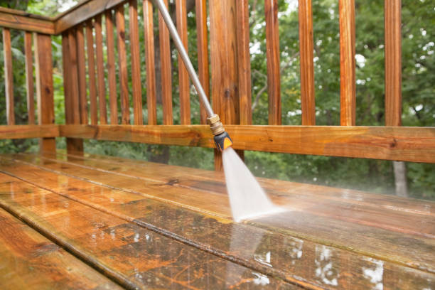 Best Solar Panel Cleaning  in Rosenhayn, NJ